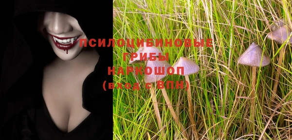 ешки Богородицк