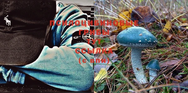 ешки Богородицк
