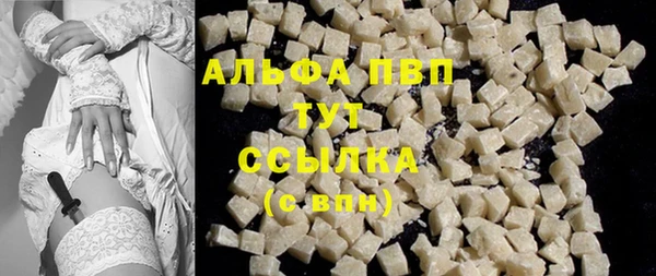 PSILOCYBIN Белокуриха
